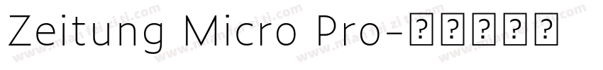 Zeitung Micro Pro字体转换